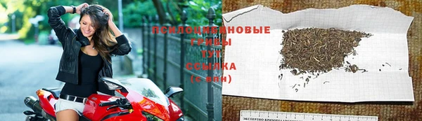 героин Богданович