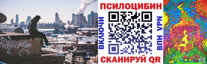 Псилоцибиновые грибы GOLDEN TEACHER  Чернушка 